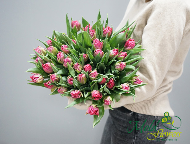 Голландские тюльпаны пионовидные розовые/1 шт Фото